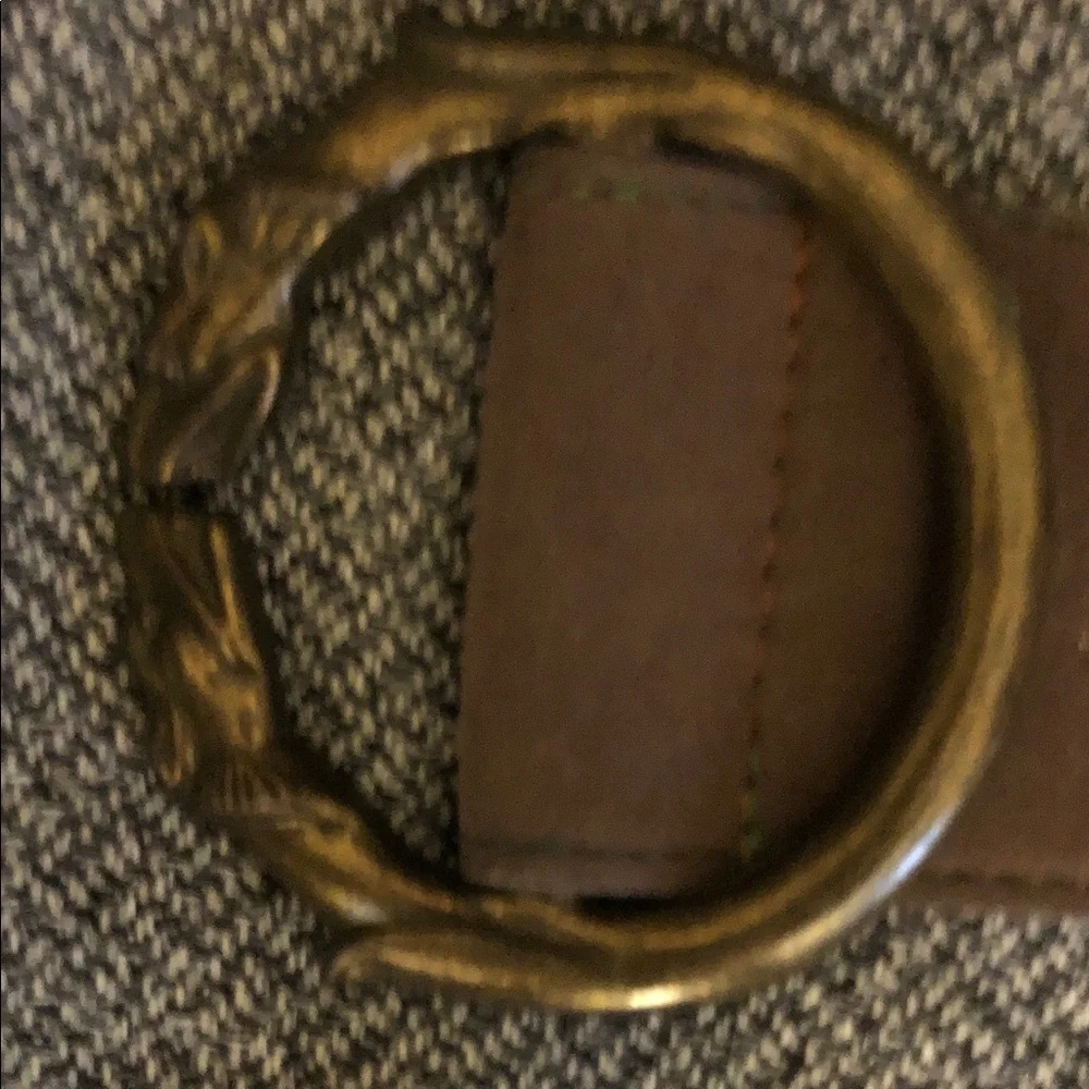 Embroidered Brown Belt with lions heads Buckle
